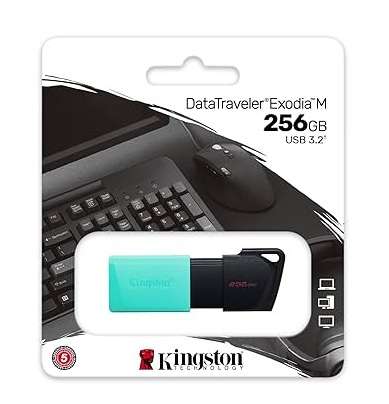 Chiavetta usb kingston exodia 256